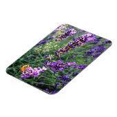 Bijen en lavender magneet (Linkerzijde)