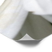 bijen en madeliefje poster (Hoek)