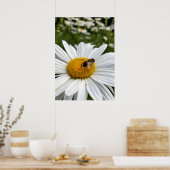 bijen en madeliefje poster (Keuken)