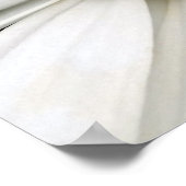 bijen en madeliefje poster (Hoek)