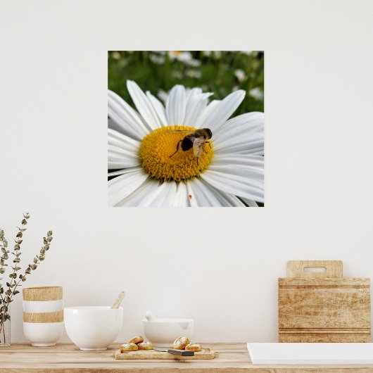 bijen en madeliefje poster (Keuken)