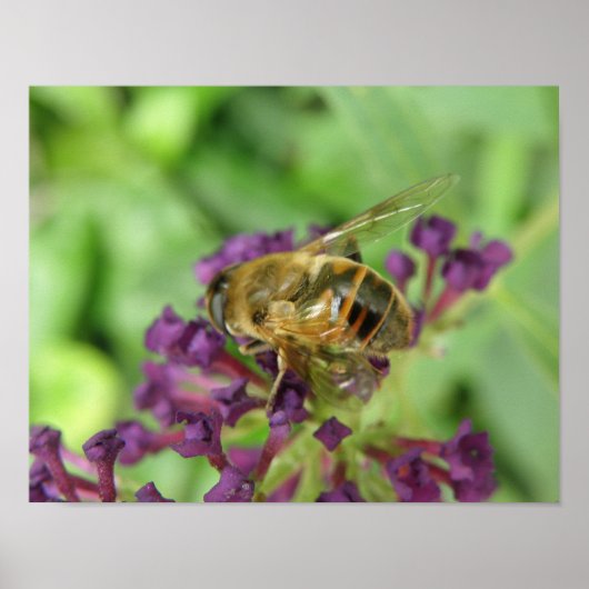 Bijen en Paarse Bloemen Print (Voorkant)