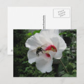 Bijen en Roos van Sharon Briefkaart (Voorkant / Achterkant)