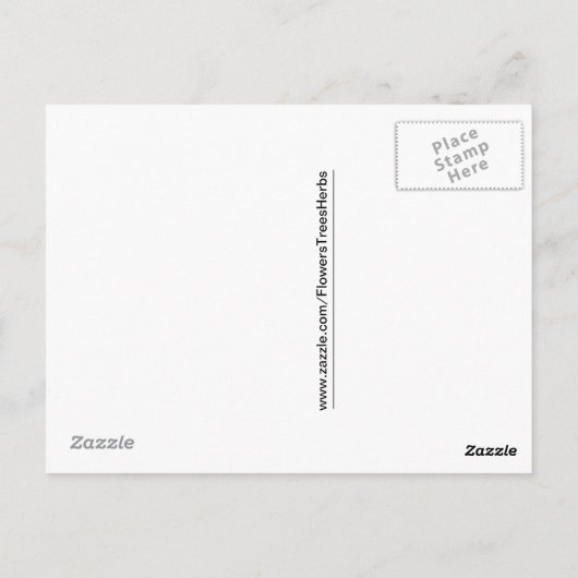 Bijen en Roos van Sharon Briefkaart (Achterkant)