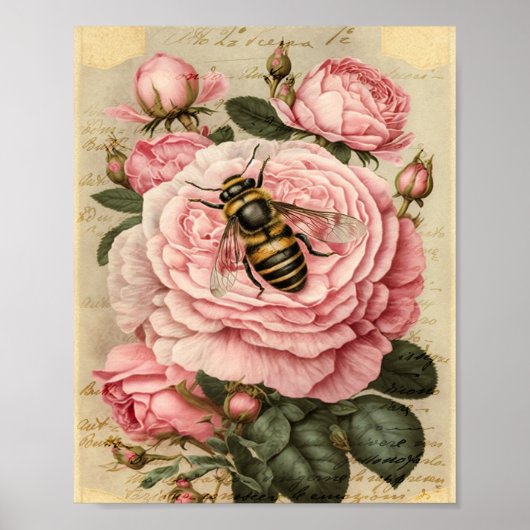bijen en roze rozen poster (Voorkant)