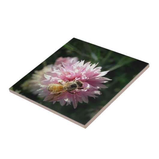 Bijen en roze ventiel tegeltje (Zijkant)