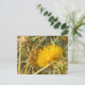 Bijen en Star Thistle (Centaurea solstitialis) Briefkaart (Staand voorkant)