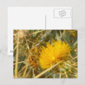 Bijen en Star Thistle (Centaurea solstitialis) Briefkaart (Voorkant / Achterkant)
