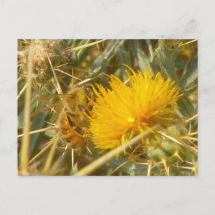 Bijen en Star Thistle (Centaurea solstitialis) Briefkaart