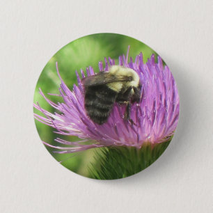 Bijen en Thistle Button