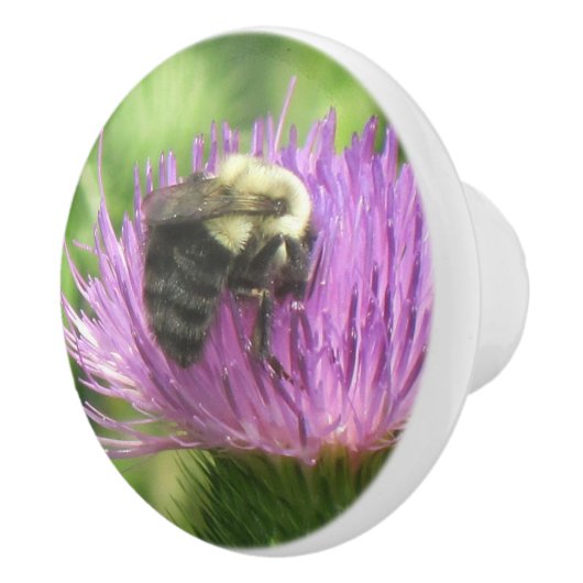 Bijen en Thistle Ceramic Knob Keramische Knop (Rechts)