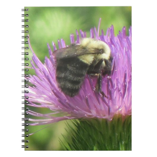 Bijen en Thistle Notitieboek (Voorkant)