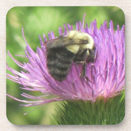 Bijen en Thistle Onderzetter (Voorkant)