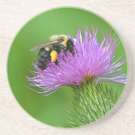 Bijen en Thistle Sandstone Onderzetter (Voorkant)