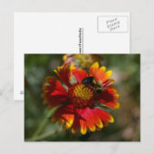 Bijen en ventilatoren briefkaart (Voorkant / Achterkant)