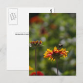 Bijen en ventilatoren briefkaart (Voorkant / Achterkant)