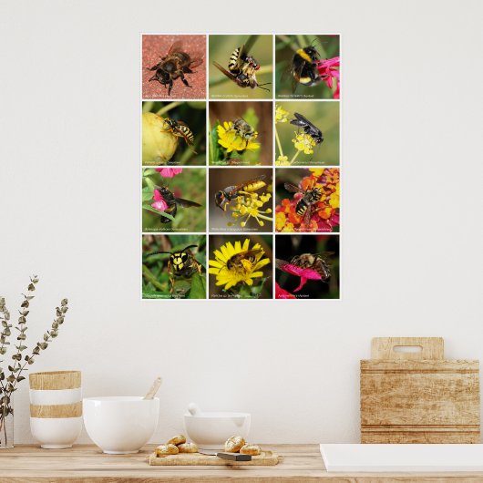 Bijen en wassenen poster (Keuken)