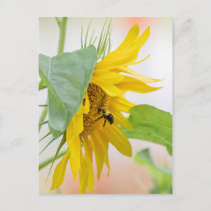 Bijen en zonnebloemen briefkaart