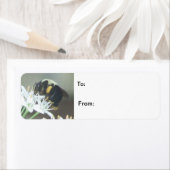 Bijen Etiket (Insitu)