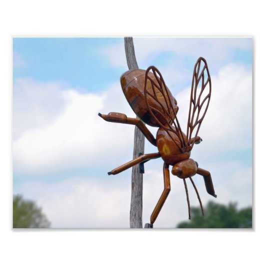 Bijen Foto Afdruk (Voorkant)