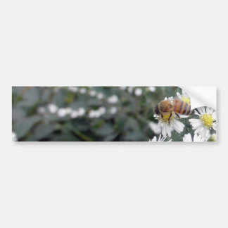 Bijen honingbijen Wildbloemen bloemen Daisies Foto Bumpersticker