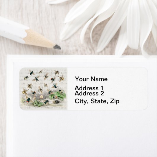 Bijen Honingwerker Koningin Natuur Antiek Bijen Etiket (Insitu)