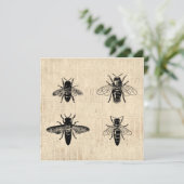 Bijen Illustratie Antiek bijenkunst design Kaart (Staand voorkant)