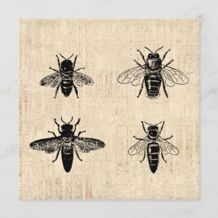 Bijen Illustratie Antiek bijenkunst design Kaart