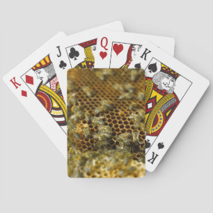 Bijen in bijenkorf, Westkaap, Zuid-Afrika Pokerkaarten