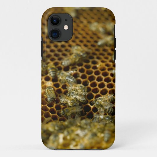 Bijen in de bijenkorf, Westkaap, Zuid-Afrika Case-Mate iPhone Case (Achterkant)