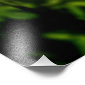 Bijen in de Natuur Foto Afdruk (Hoek)