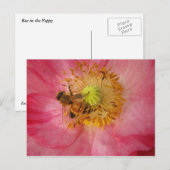 Bijen in de papaver briefkaart (Voorkant / Achterkant)