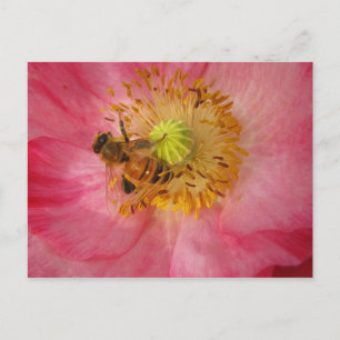 Bijen in de papaver briefkaart