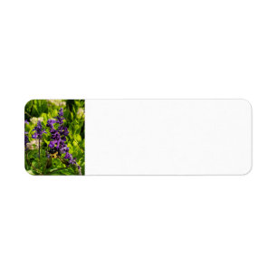 Bijen in de tuin etiket