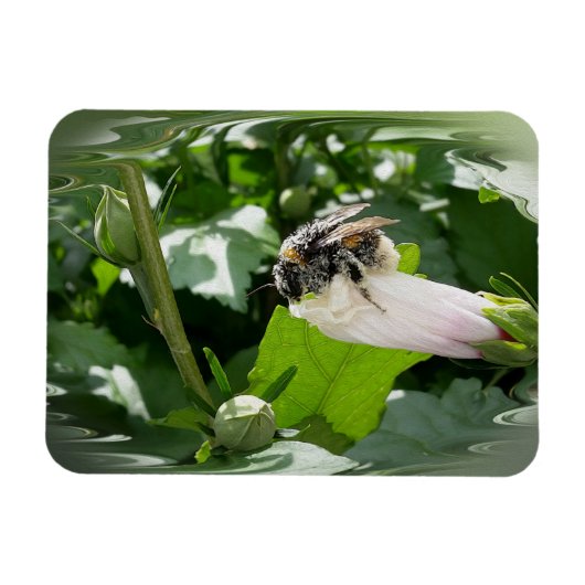 Bijen in de zomer magneet (Horizontaal)