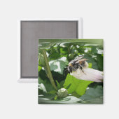 Bijen in de zomer magneet (Voorkant / Achterkant)