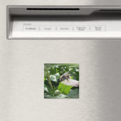 Bijen in de zomer magneet (Insitu (Vaatwasser))