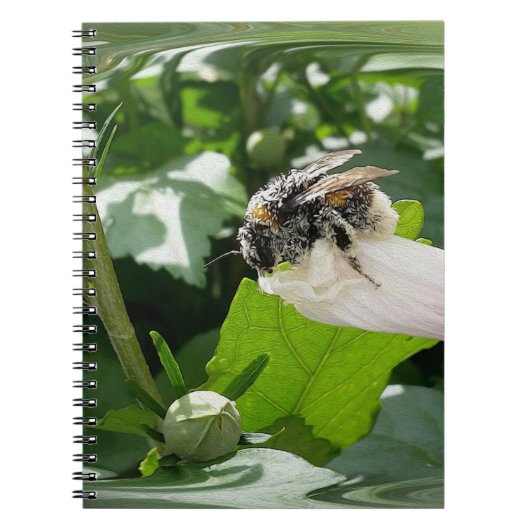 Bijen in de zomer notitieboek (Voorkant)