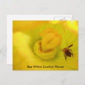 Bijen in de Zucchini-bloem Briefkaart (Voorkant / Achterkant)