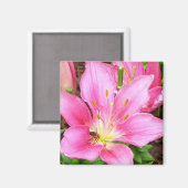 Bijen in een Lilly Magneet (Voorkant / Achterkant)