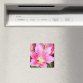 Bijen in een Lilly Magneet (Insitu (Vaatwasser))