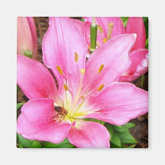 Bijen in een Lilly Magneet