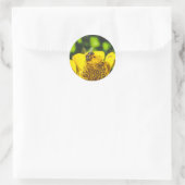 bijen in gele bloem ronde sticker (Tas)