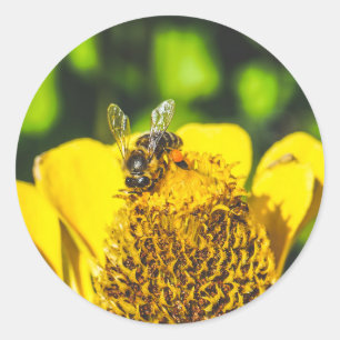 bijen in gele bloem ronde sticker