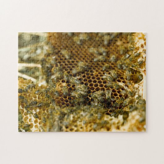 Bijen in Hive, Western Kaapje, Zuid-Afrika Legpuzzel (Horizontaal)