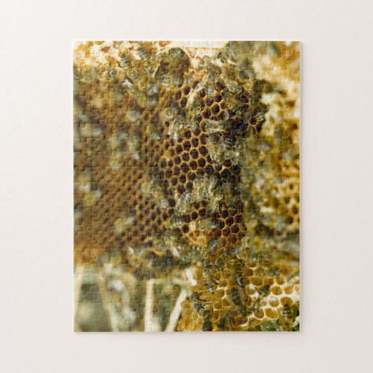 Bijen in Hive, Western Kaapje, Zuid-Afrika Legpuzzel (Verticaal)