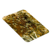 Bijen in Hive, Western Kaapje, Zuid-Afrika Magneet (Rechterzijde)