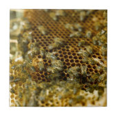 Bijen in Hive, Western Kaapje, Zuid-Afrika Tegeltje (Voorkant)