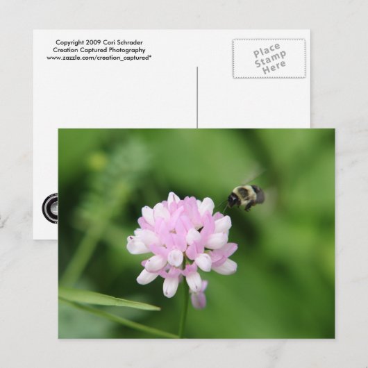 Bijen in vlucht briefkaart (Voorkant / Achterkant)