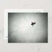 bijen in vlucht briefkaart (Voorkant / Achterkant)